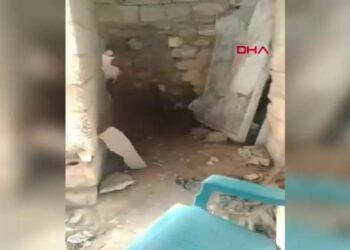Gaziantep’te kaçak kazıya 5 gözaltı