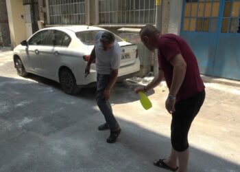 Sokağı istila eden pirelerden lavanta yağıyla korunmaya çalışıyorlar