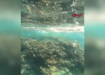 Mikroplastik kirliliği, su altında daha yoğun
