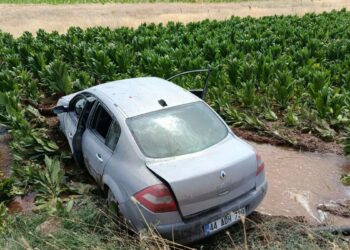 Malatya'da otomobil, tütün tarlasına girdi: 3 yaralı