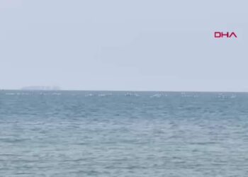Göç yolundaki leylekler, Akdeniz üzerinde görsel şölen oluşturdu
