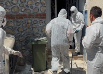 Sokakta pire istilasına neden olan hayvanlar, tutuldukları apartmandan kurtarılıp bakıma alındı