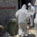 Sokakta pire istilasına neden olan hayvanlar, tutuldukları apartmandan kurtarılıp bakıma alındı