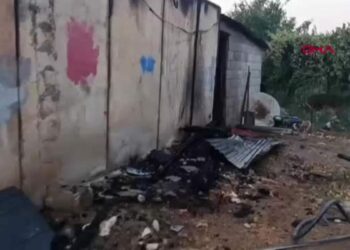 Silopi'deki yangında 3 ton saman ve 200 kilo hayvan yemi zarar gördü