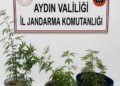 Kuşadası'nda uyuşturucu operasyonu: 3 gözaltı