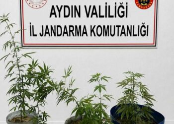 Kuşadası'nda uyuşturucu operasyonu: 3 gözaltı