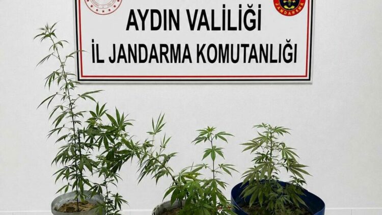 Kuşadası'nda uyuşturucu operasyonu: 3 gözaltı