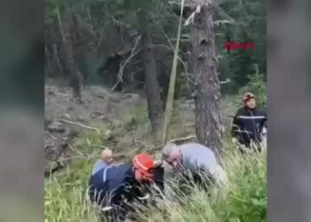 Uçuruma yuvarlanan ineği itfaiye vinçle kurtardı