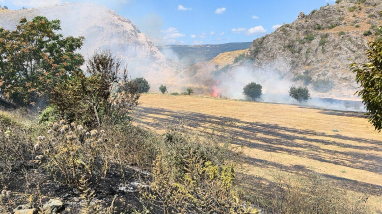 Tokat'ta ot yangını, büyümeden söndürüldü