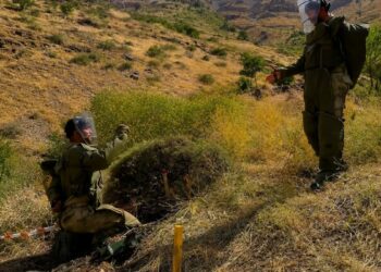 Hakkari’deki temizlik çalışmalarında, 46 bin 490 mayın tespit edildi