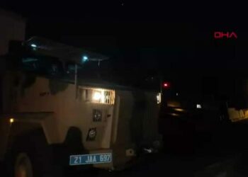 Diyarbakır’da yasa dışı kenevir ekimi operasyonu; 247 bin 145 kök kenevir ve skunk imha edildi