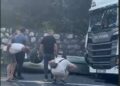 Fındık yüklü TIR’ın çarptığı otomobilin sürücüsü öldü