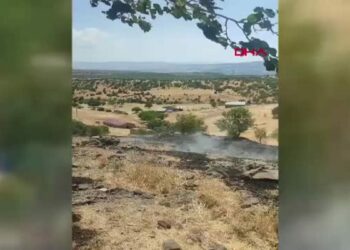 Karakoçan’da anız yangını