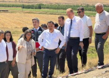 Vali Gökmen Çiçek: Ülkemizin tarihini bambaşka bir yere çevirecek