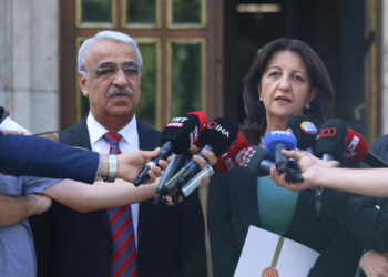 DEM Parti'li Buldan: Süreç hızlı bir şekilde ilerlemeli