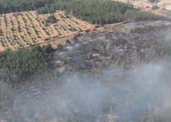 Bilecik’te orman yangını