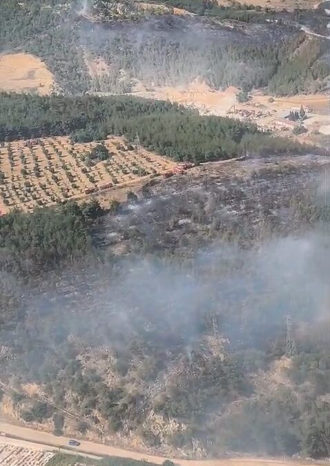 Bilecik’te orman yangını