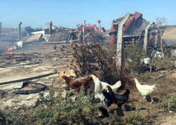 Tekirdağ'da anız yangını; 4 çiftlik evi yandı