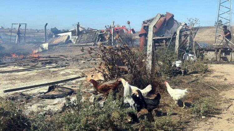 Tekirdağ'da anız yangını; 4 çiftlik evi yandı