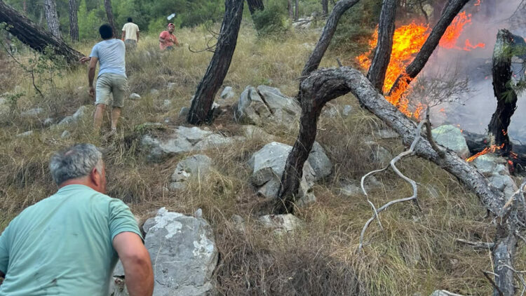 Antalya'da orman yangını