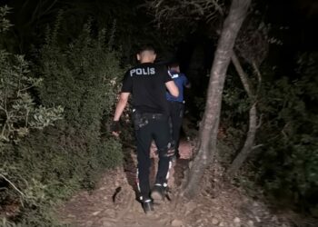 Bodrum'da ormanda kaybolan 5 genç kurtarıldı