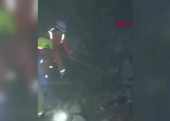 Antalya'daki orman yangını, 14 saat sonra kontrol altına alındı