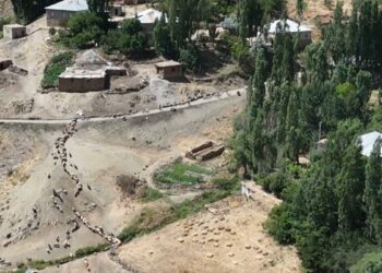 Besiciler, koyunlarını her gün 3 kilometre uzaklıktaki çeşmeye yürütmek zorunda kalıyor