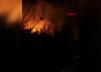 Orman yangını söndürüldü