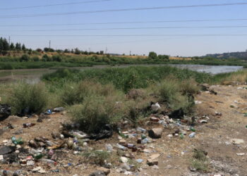Dicle Vadisi’nde ‘piknikçi’ kirliliği: Atıklar insan ve yaban hayatını tehdit ediyor