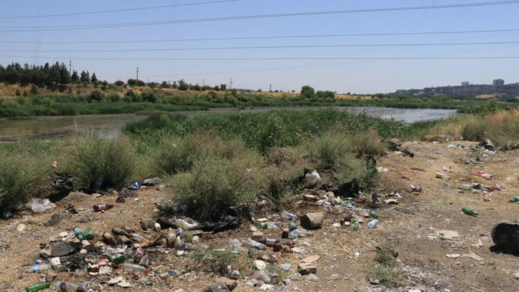 Dicle Vadisi’nde ‘piknikçi’ kirliliği: Atıklar insan ve yaban hayatını tehdit ediyor