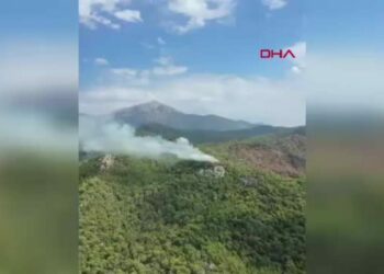 Antalya'da orman yangını