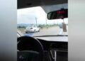 Yola çıkan başıboş atlar sürücülere zor anlar yaşattı