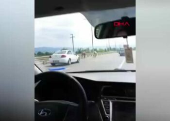 Yola çıkan başıboş atlar sürücülere zor anlar yaşattı