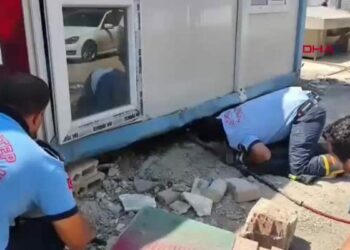 Konteynerin altında mahsur kalan köpek ile 7 yavrusu kurtarıldı