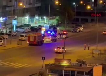 Derik'te minibüsün çarptığı eşek öldü