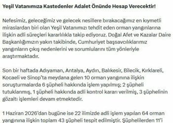 Orman yangınlarına ilişkin soruşturmada 11 şüpheli tutuklandı