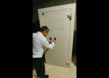 'Alihan Kuriş' suç örgütüne yönelik soruşturmada 32 tutuklama