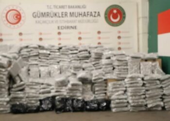 Kapıkule Gümrük Kapısı'nda 810 kilo esrar ele geçirildi