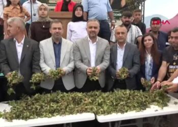 Kahramanmaraş’ta fındık festivali