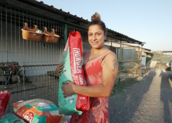 Can dostları yararına konserde giriş bileti mama oldu; yarım ton toplandı