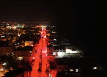Deniz kaplumbağaları için sahil aydınlatmalarında 'kırmızı ışık' uygulaması