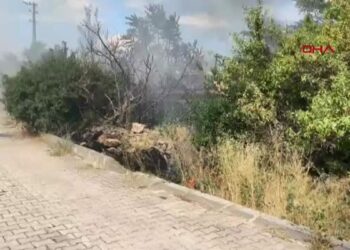 Otluk alanda çıkıp metruk binaya sıçrayan yangın söndürüldü