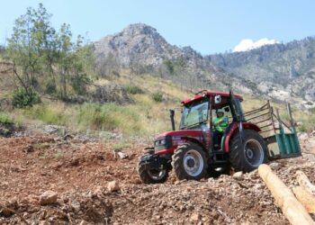 Sibel, ORKÖY desteğiyle aldığı traktörle odun taşıyor