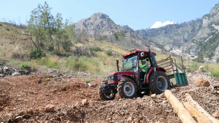 Sibel, ORKÖY desteğiyle aldığı traktörle odun taşıyor