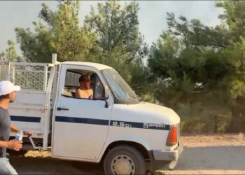 Aydın’daki yangında hayvanlarını kurtarırken yaralandı, 20 gün sonra hayatını kaybetti