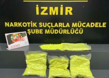 Çantasında 31 bin 320 uyuşturucu hapla yakalandı