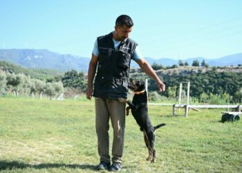 11 yılda yetiştirdiği 4 arama köpeğiyle, sayısız hayat kurtardı