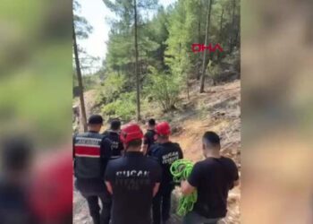 Sızgıla otu toplarken kayalıktan düşüp yaralandı