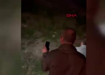 Uludağ yoluna inen tilkiyi etle beslediler