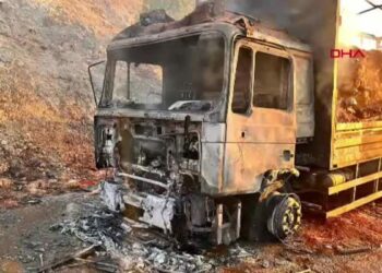 Manisa'da seyir halindeki TIR alev alev yandı
